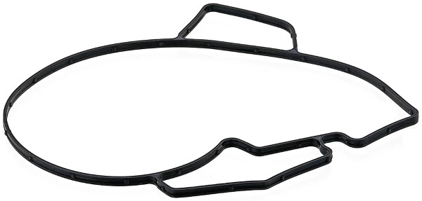 Gasket, water pump (704.880)
