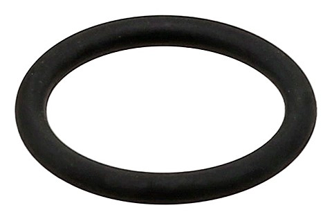 Seal Ring (939.710)