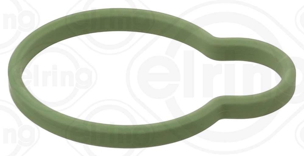 Gasket, intake manifold (900.109)