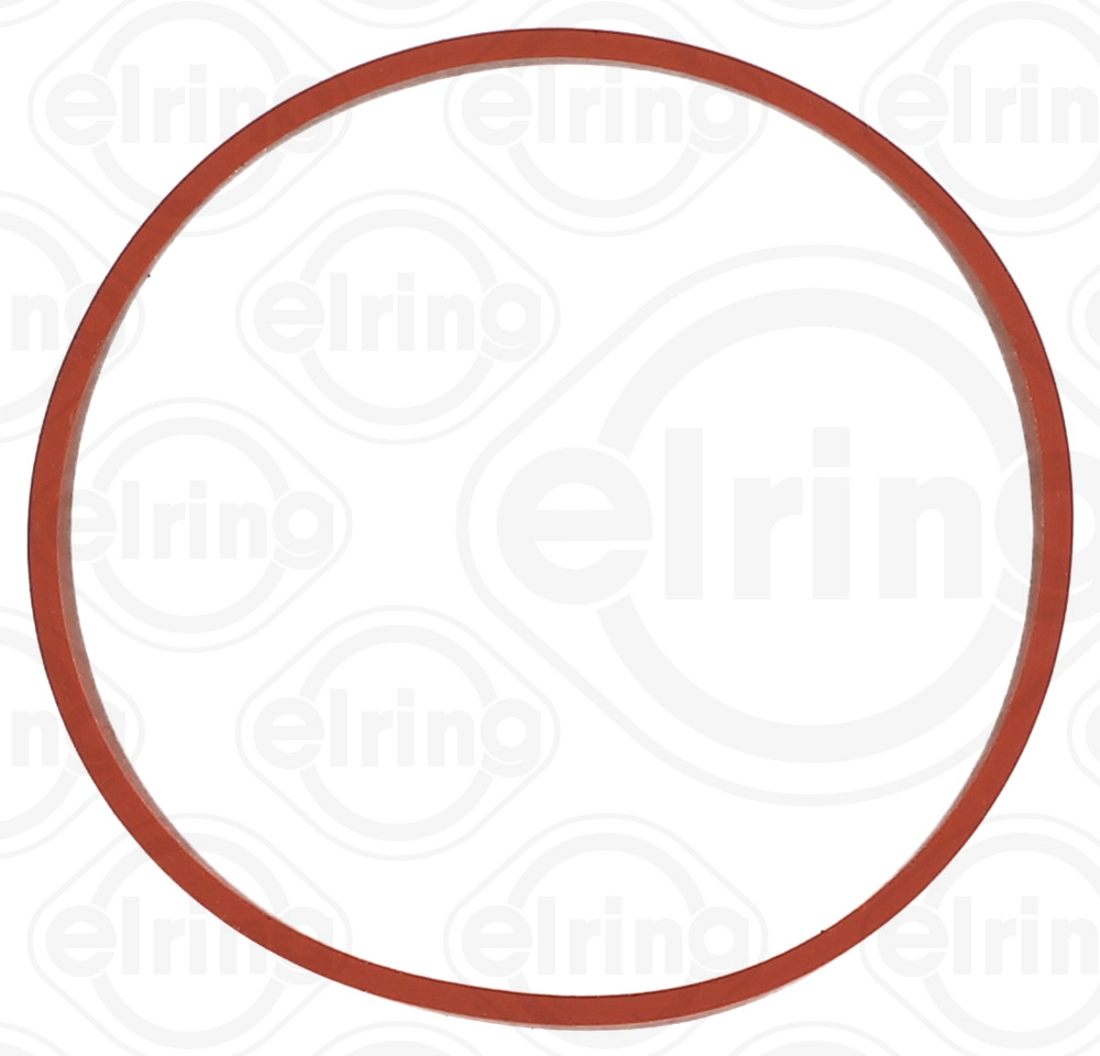 Gasket, EGR valve (424.850)