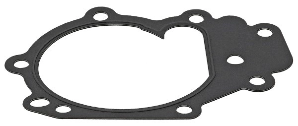 Gasket, water pump (875.390)