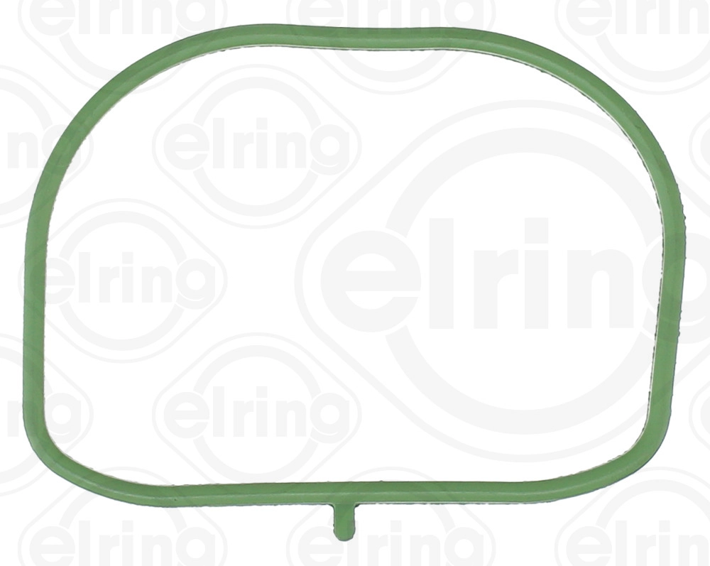 Gasket, intake manifold