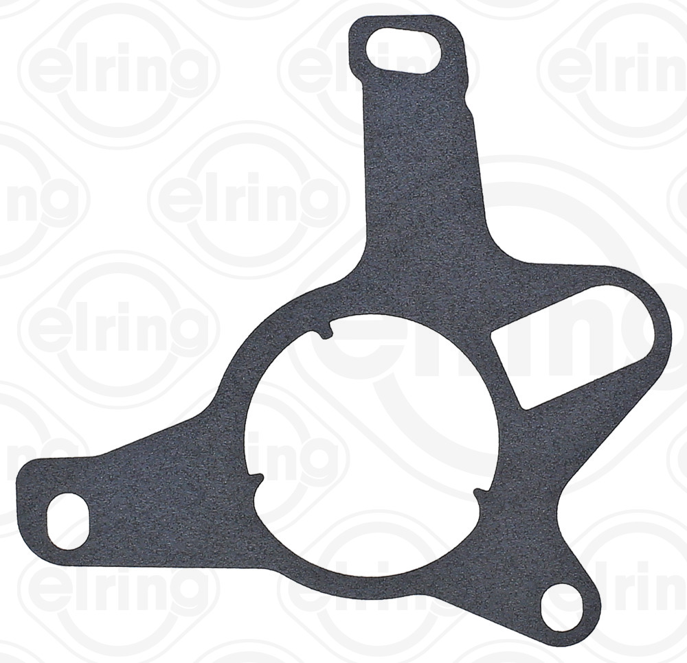 Gasket, vacuum pump (785.710)