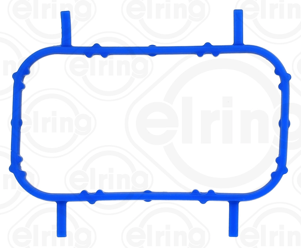Gasket, thermostat housing