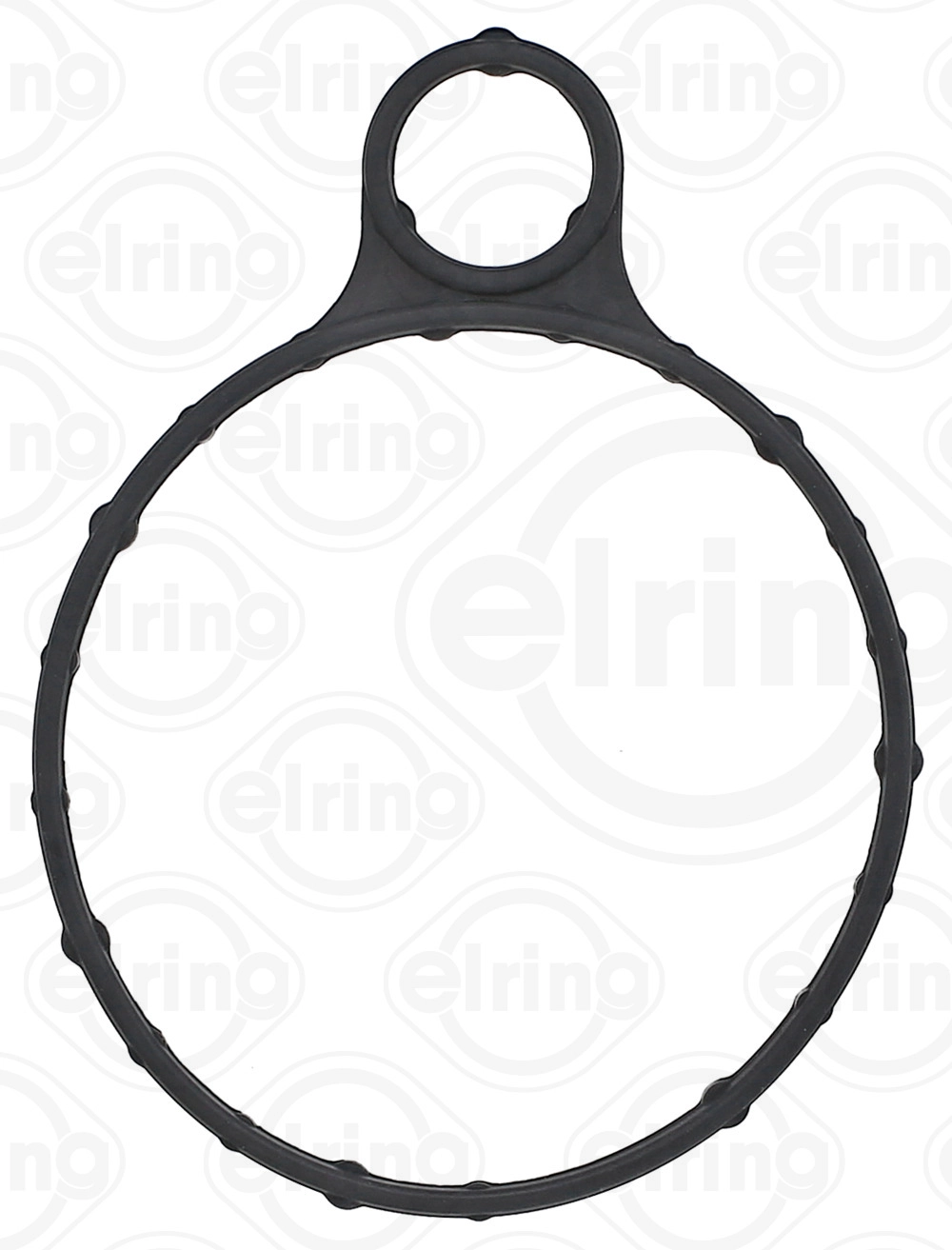 Gasket, vacuum pump