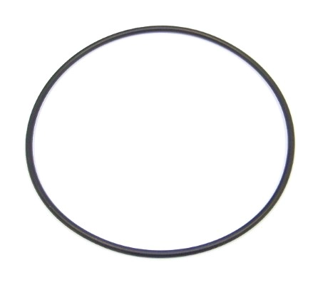 Seal Ring (863.631)