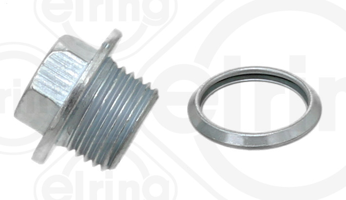 Screw Plug, oil sump (107.980)