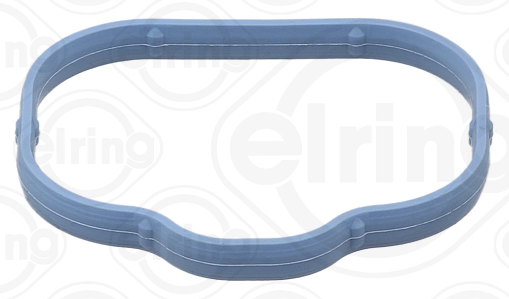 Gasket, intake manifold