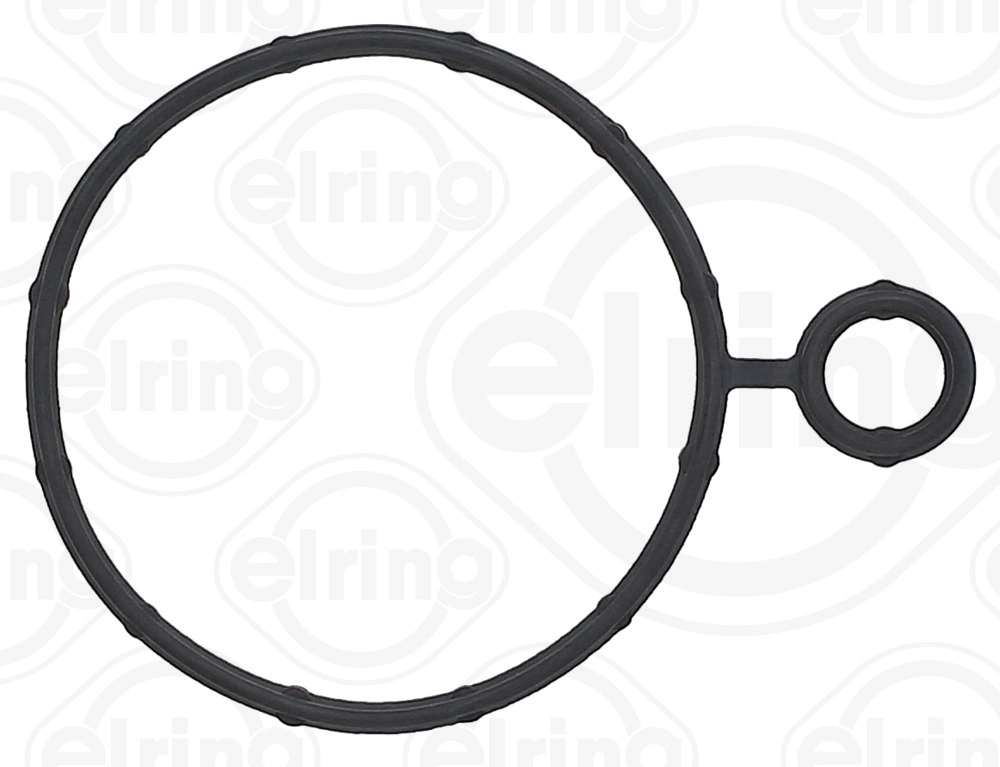 Gasket, vacuum pump