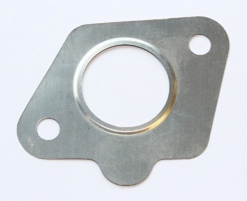 Gasket, EGR valve (569.360)