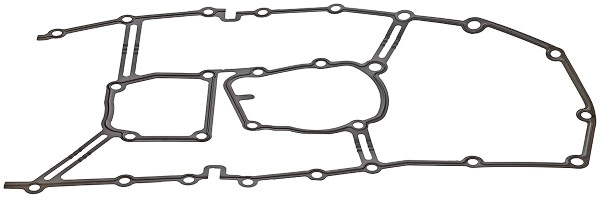 Gasket, timing case (919.899)