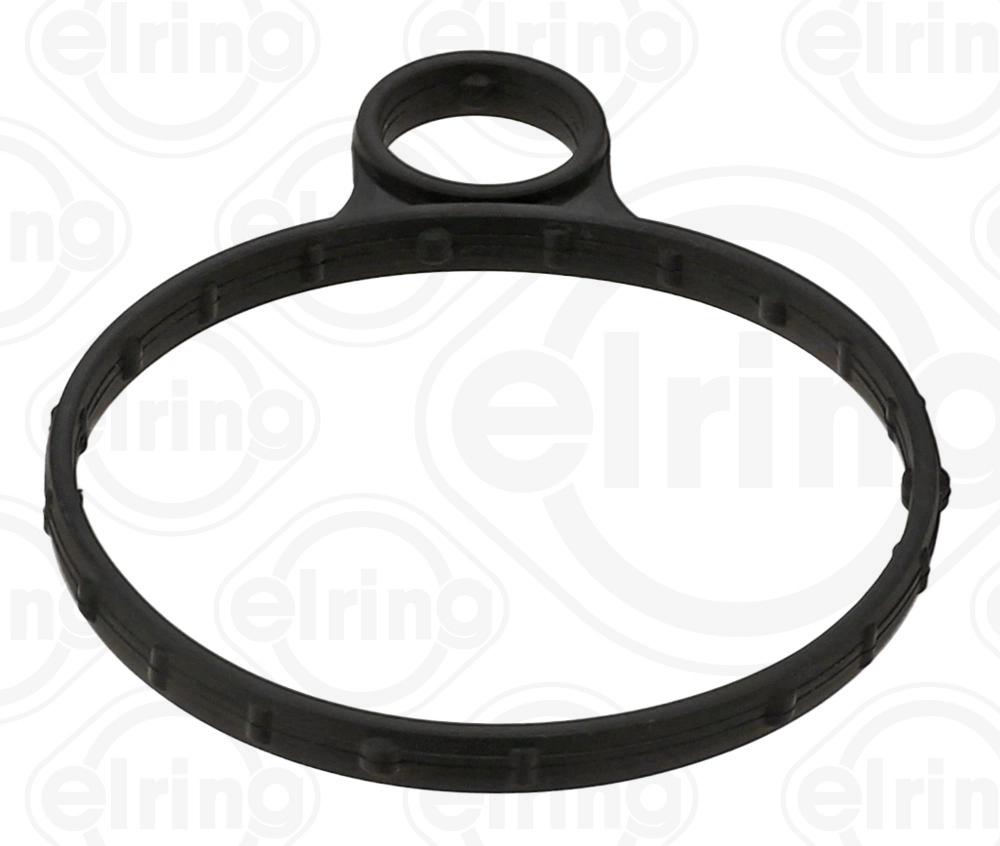 Gasket, vacuum pump (982.400)