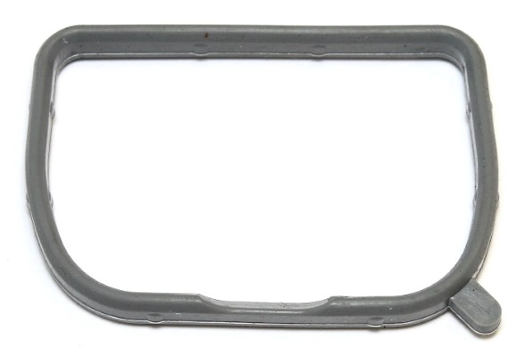 Gasket, intake manifold (586.130)