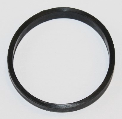Gasket, coolant flange (590.290)