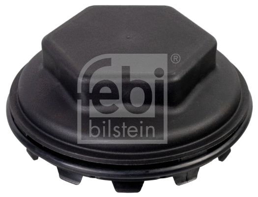 Protection Lid, wheel hub (173938)