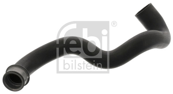 Radiator Hose (46384)