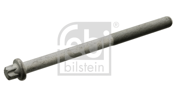 Cylinder Head Bolt (10794)