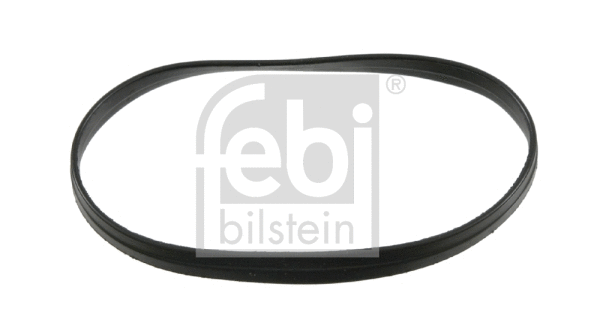 Gasket Kit, timing case (22569)