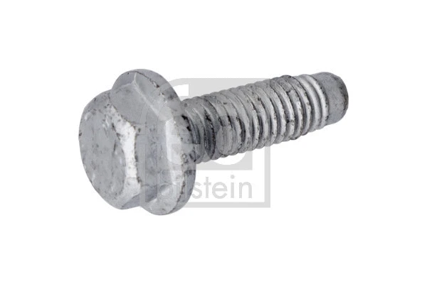 Screw (179967)