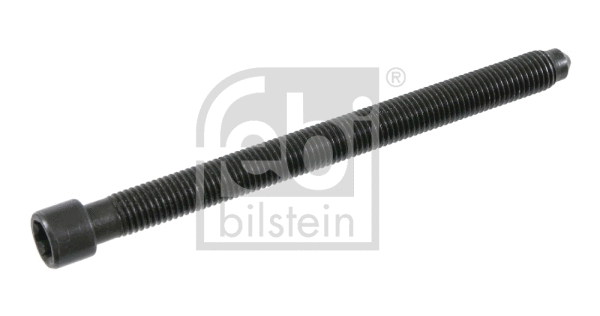 Cylinder Head Bolt (21586)
