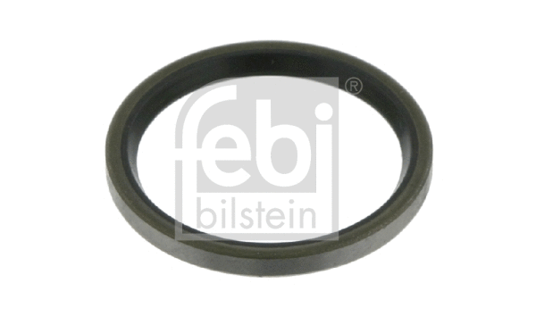 Seal Ring, steering knuckle (08807)