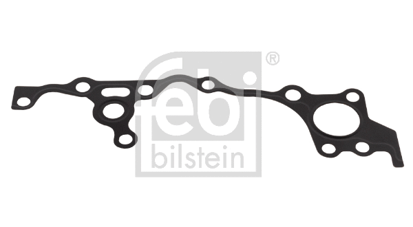 Gasket, timing case (173834)