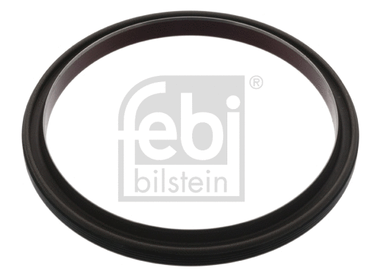 Shaft Seal, crankshaft (45413)