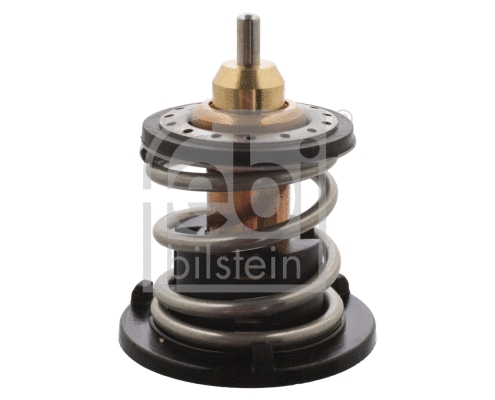 Thermostat, coolant (109338)
