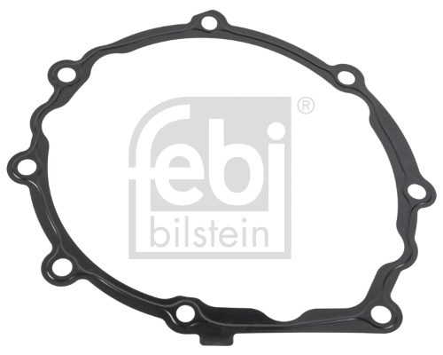 Gasket, water pump (176680)