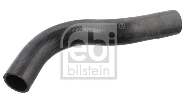 Radiator Hose (12435)