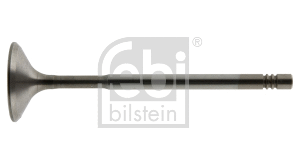 Intake Valve (38315)