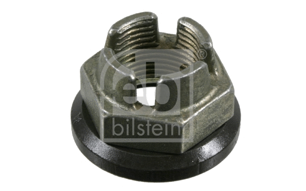 Nut, stub axle (10736)