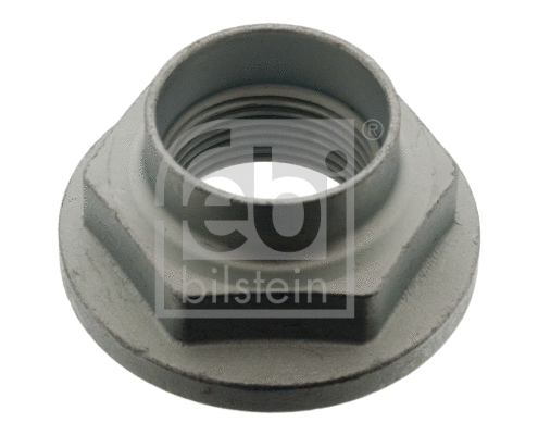 Nut, stub axle (04041)