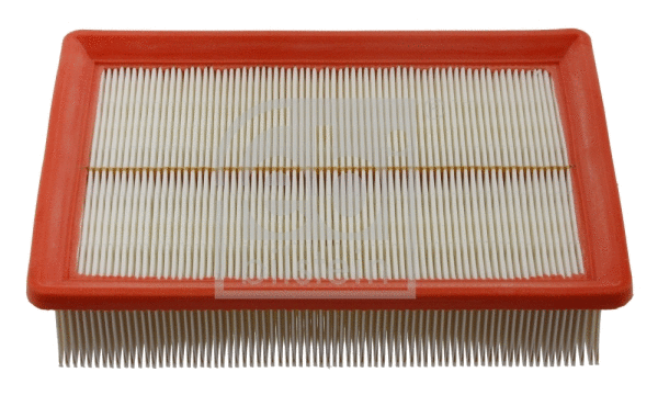 Air Filter (30360)
