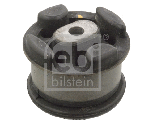 Mounting, transfer case (103184)