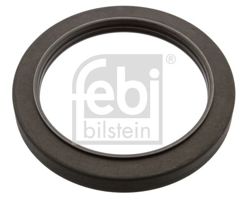 Shaft Seal, wheel hub (45998)