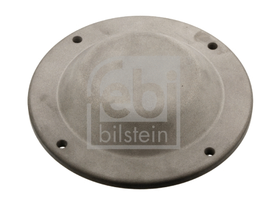 Protection Lid, wheel hub (35169)