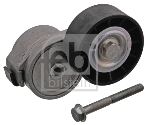 Belt Tensioner, V-ribbed belt (100095)