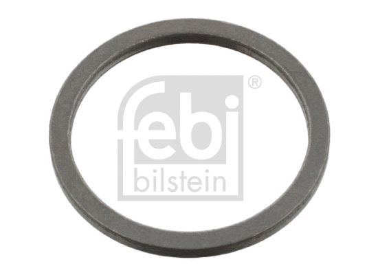 Seal Ring (35833)