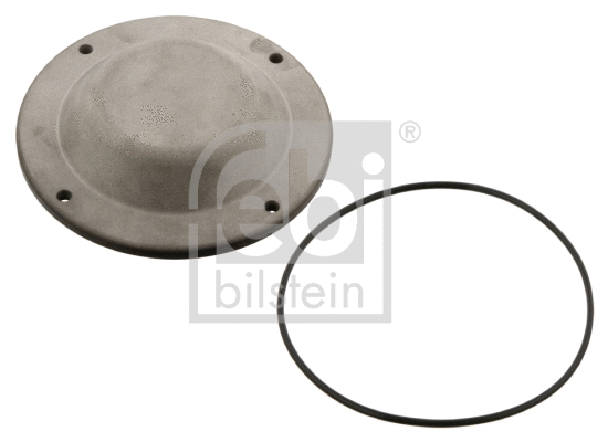 Protection Lid, wheel hub (35170)