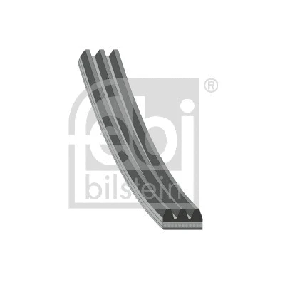V-Ribbed Belt (180764)