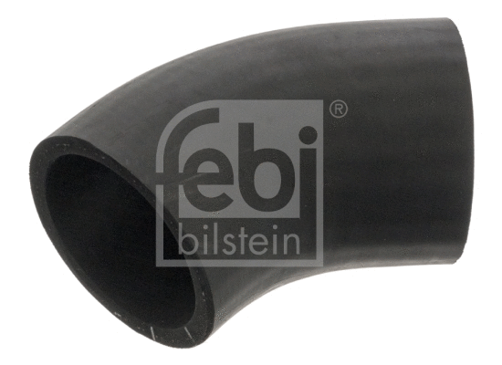 Radiator Hose (45338)