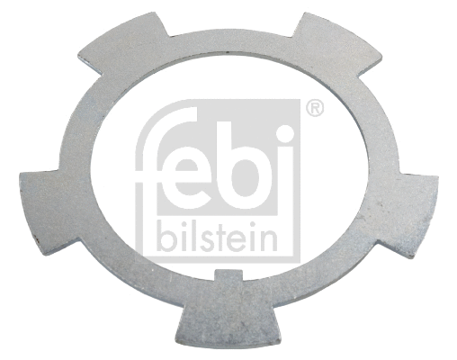Cover Plate, dust-cover wheel bearing (173992)