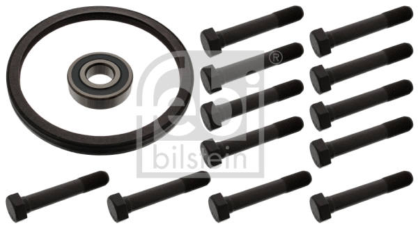 Repair Kit, flywheel (47988)