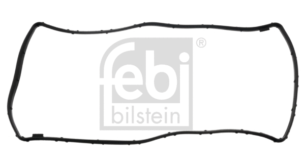 Gasket, crankcase ventilation (46774)