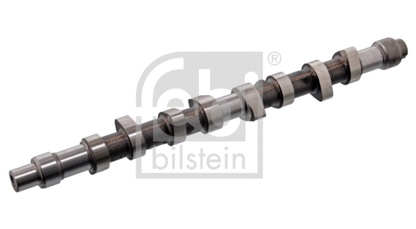 Camshaft (17068)