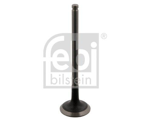 Exhaust Valve (34386)