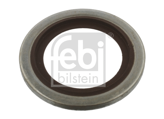 Seal Ring (40687)