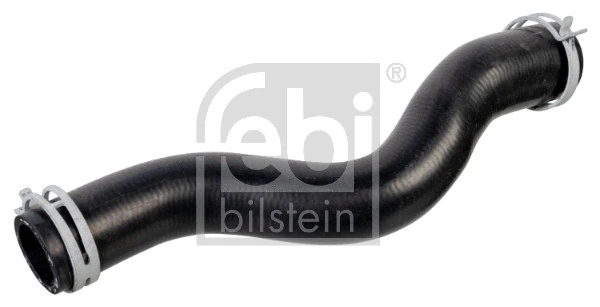 Radiator Hose (178469)