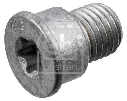 Bolt, brake disc (182621)